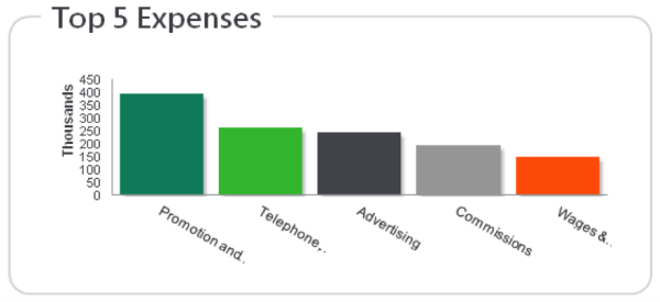 Top 5 Expenses Dashboard Sage 300 ERP